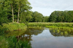 Van Wijnen_Diepstroeten_07